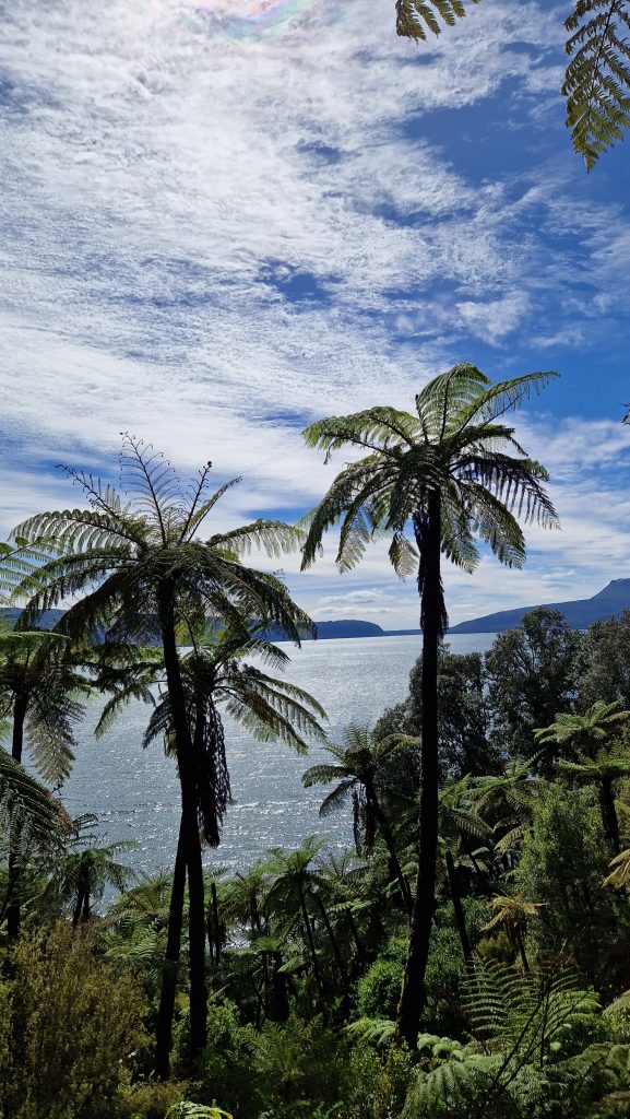 Tarawera Trail in Rotorua Neuseeland