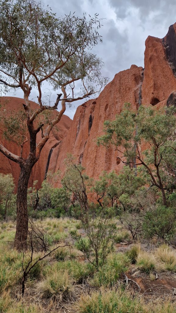 Uluru Ayers Rock Kantju Gorge