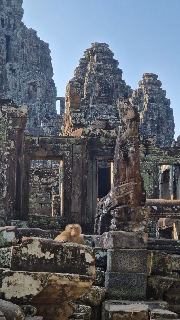 Affen im Bayon-Tempel Angkor