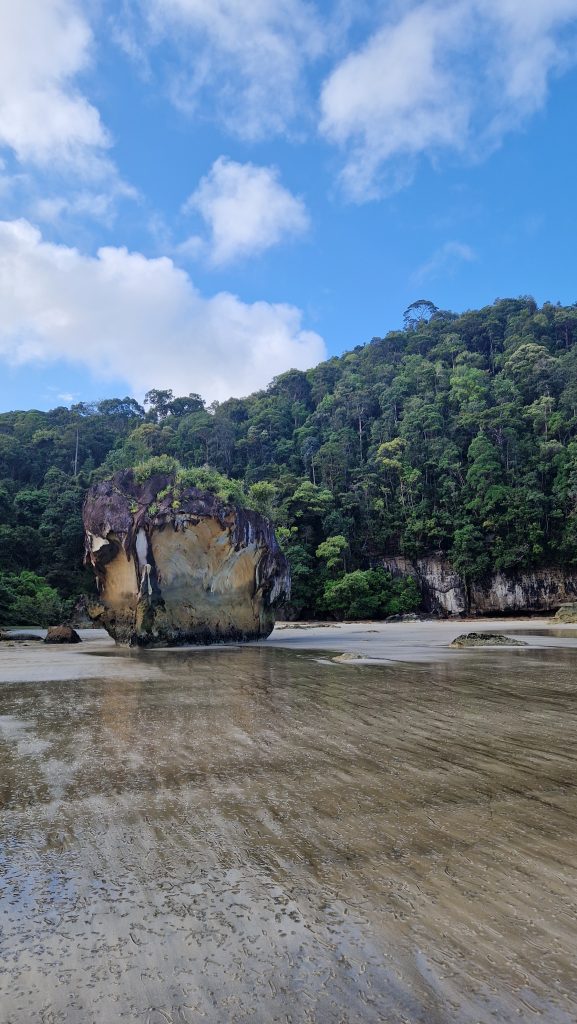 Baku Nationalpark Podcast Borneo