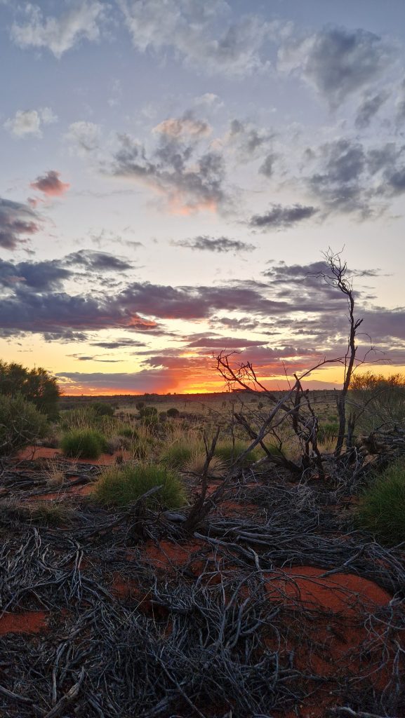 Sonnenuntergang im Outback Australiens