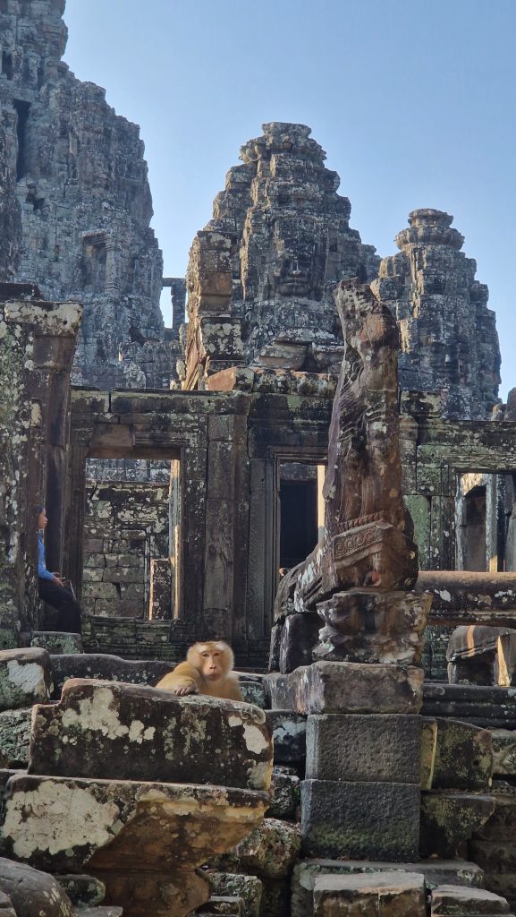 Ein Affe schaut hinter einem Stein des Bayon Tempels hervor