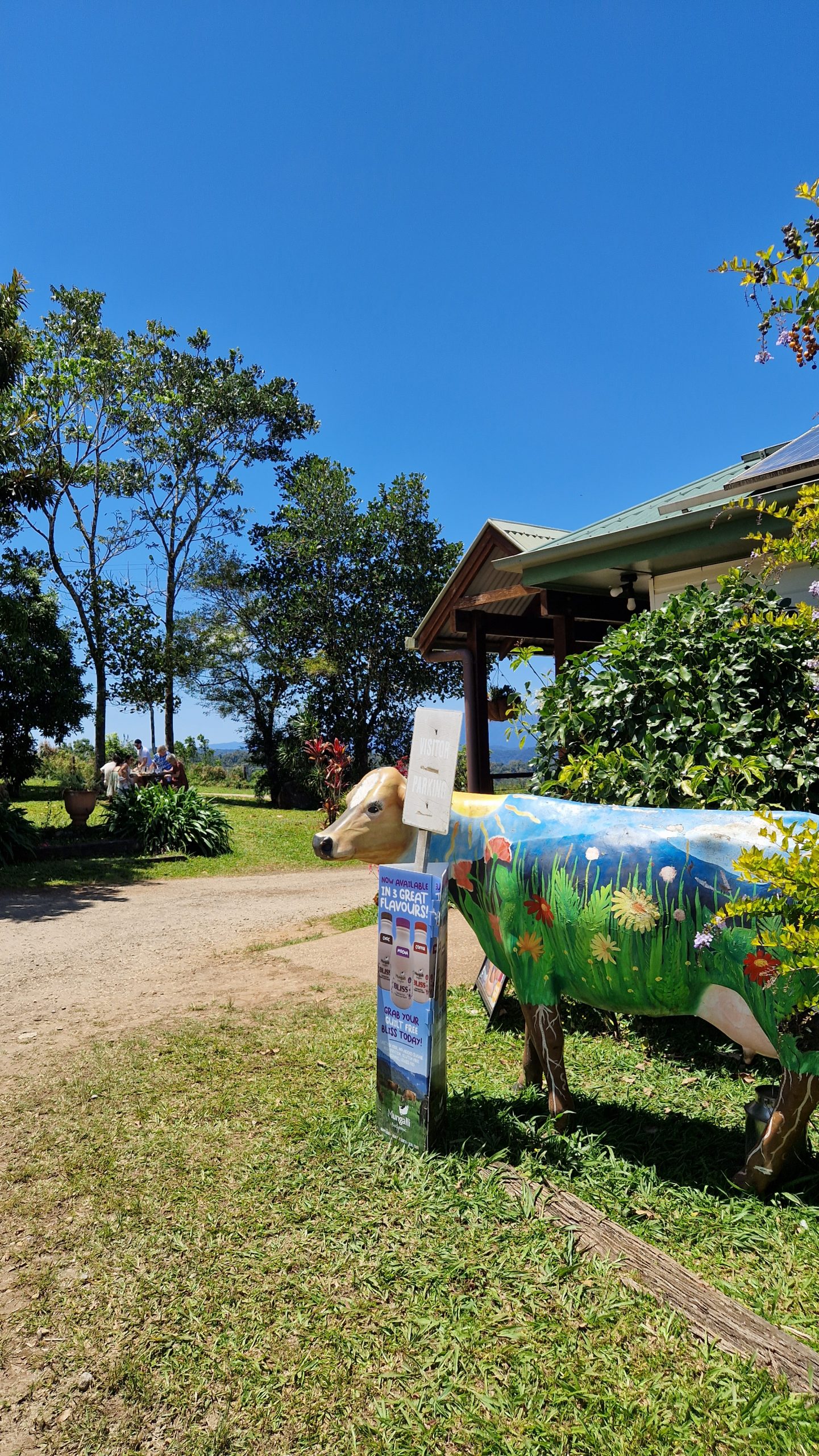 Mungalli Creek Dairy Cafe, Atherton Tablelands, Queensland, Australien