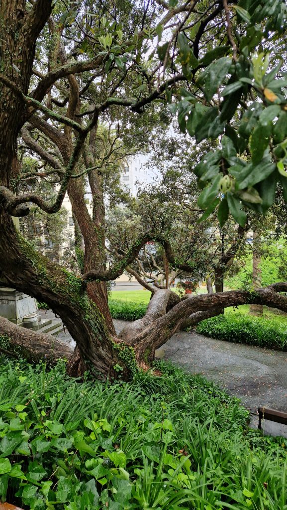 Emily Place Reserve, Auckland, Neuseeland