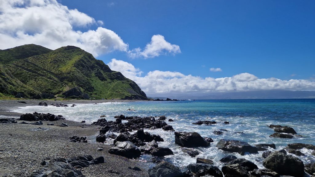 Bucht an der Cookstraße neben dem Te Kopahou Visitor Centre, Wellington, Neuseeland