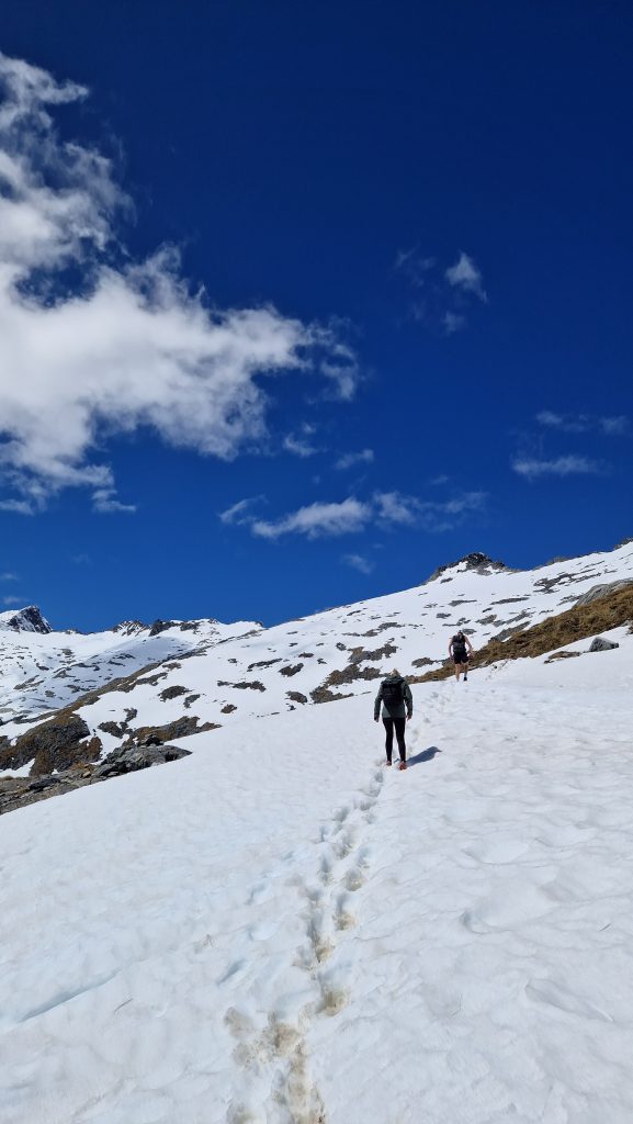 Weg zum Gletscher am Mount Brewster, Südinsel, Neuseeland
