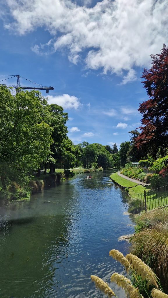 Botanical Garden, Südinsel, Neuseeland