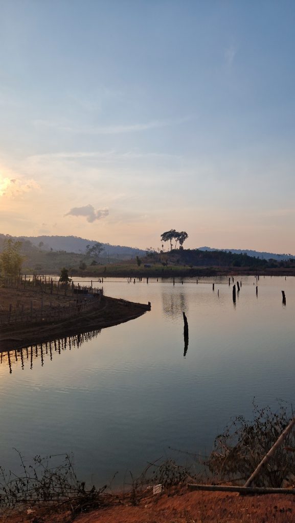 Flooded Forest, Thakhek Loop, Laos