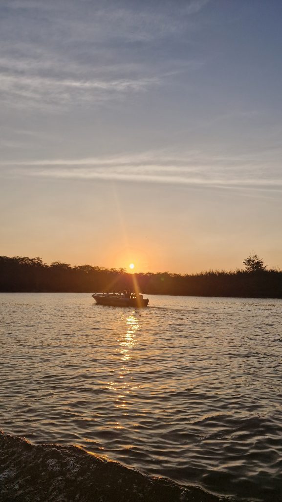 Sonnenuntergang auf dem Kinabatangang, Borneo, Malaysia