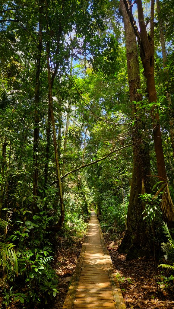Ulu Serait Trail, Bako Nationalpark, Borneo, Malaysia