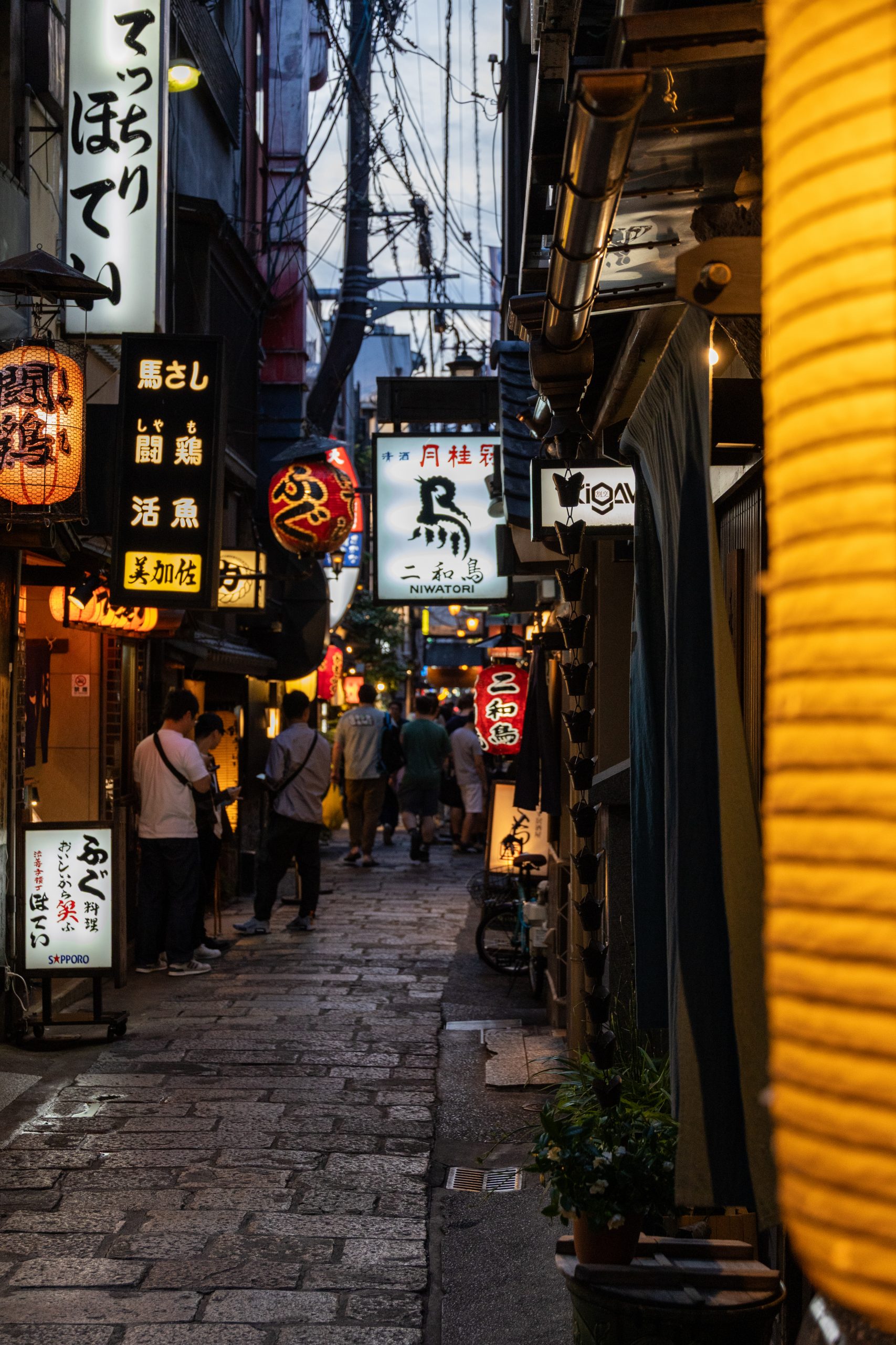 Hey Osaka & Kyoto! – Japans Herzschlag zwischen Moderne und Tradition