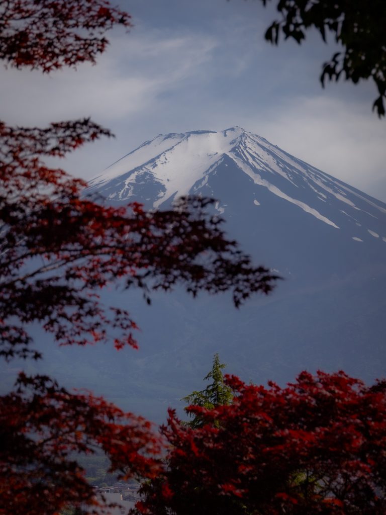 Blick auf den Mount Fuji durch rote Blätter