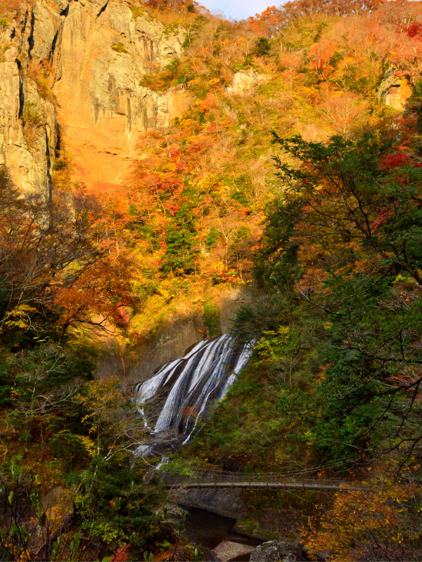 Wasserfall umgeben von rot-goldenem Laubwald