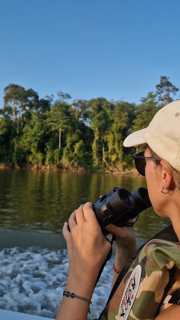 Auf Safari auf dem Kinabatangan River, Borneo, Malaysia