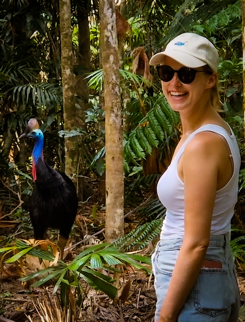 Kasuar Begegnung, Daintree Rainforest, Queensland, Australien