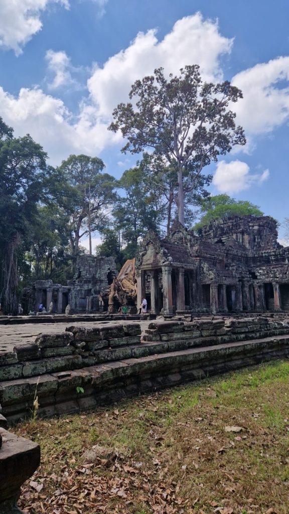 Der Preah Khan-Tempel liegt inmitten des grünen Dschungels. Er ist eher flach und besteht aus vielen Säulen.
