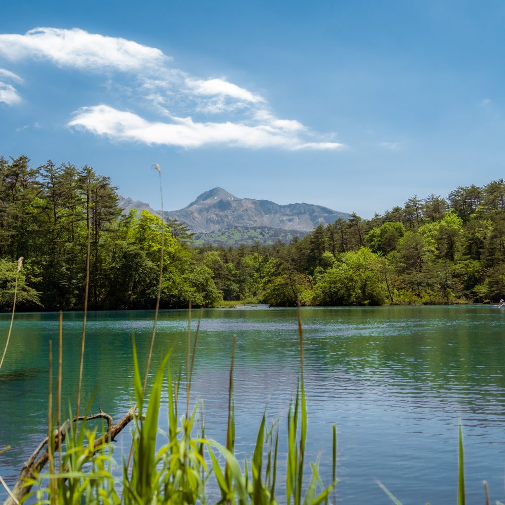 Die Goshikinuma Ponds mit ihrem hellblauen Wasser liegen inmitten einer grünen Berglandschaft.