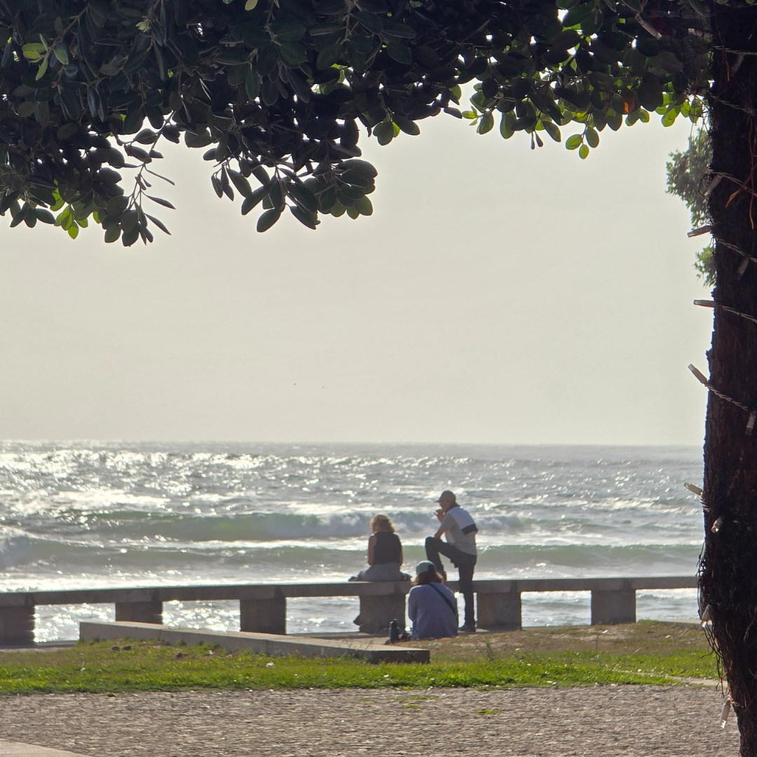 Menschen sitzen auf einer Steinbank am Meer unter einem Baum.