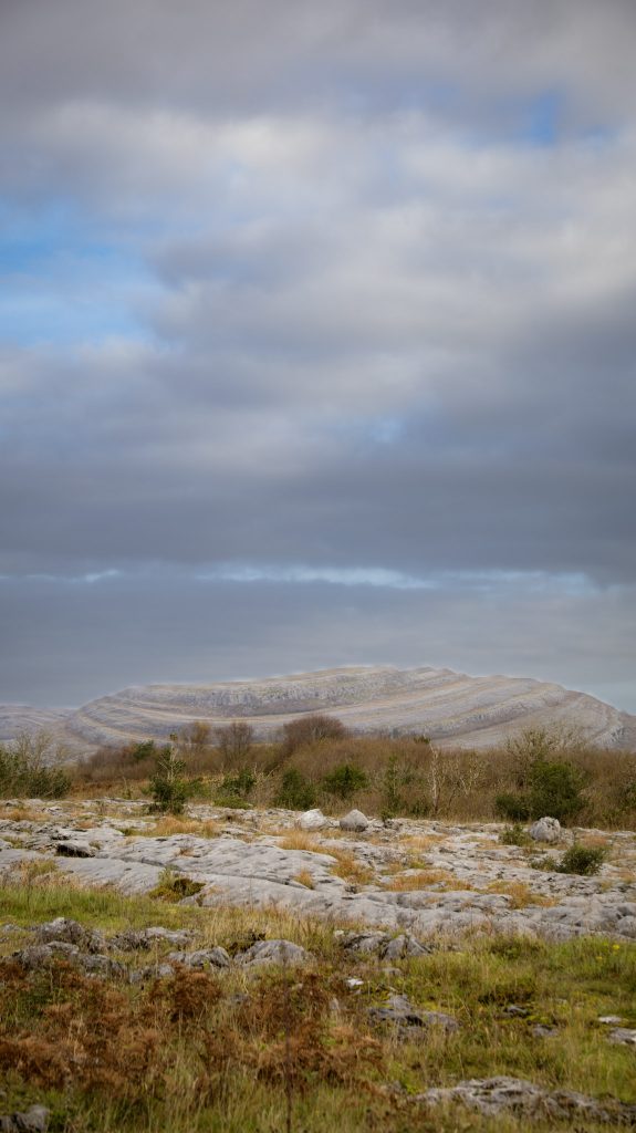 Blick auf karge Kalksteinflächen und seltene Flora des Burren