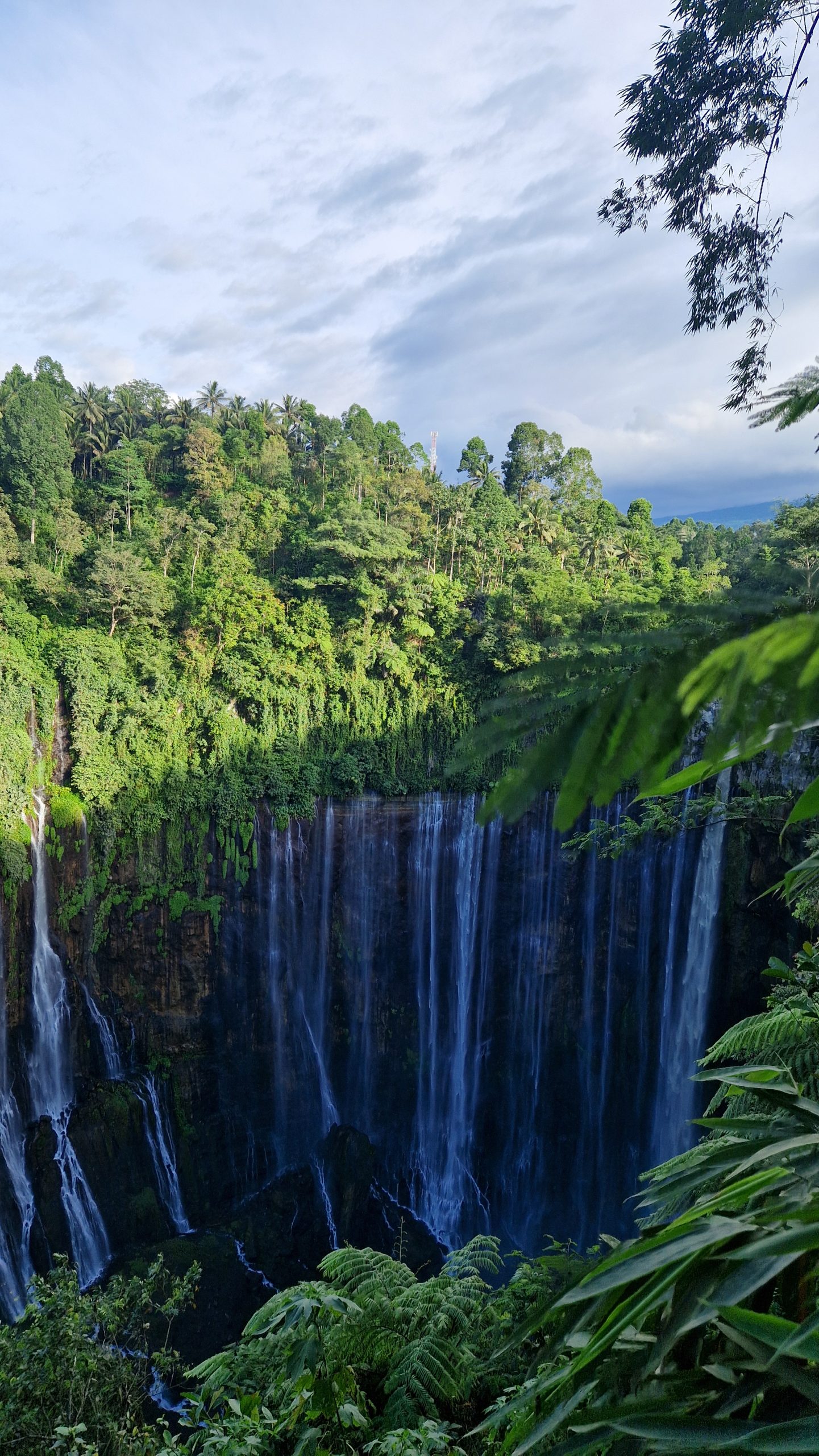 Der Tumpak Sewu Wasserfall umgeben von grüner Natur