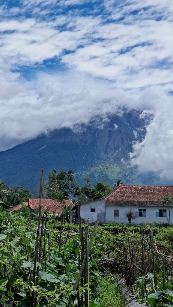Blick auf den Stratovulkan Semeru und die grüne umgebende Landschaft
