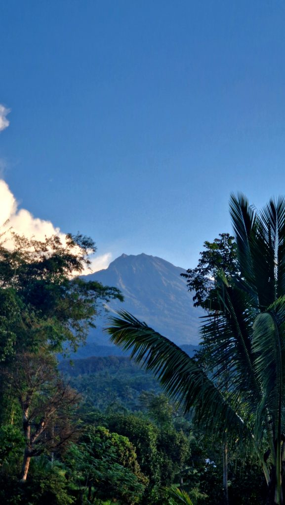 Blick auf die grüne Landschaft Tete Batus und dem Vulkan Rinjani 