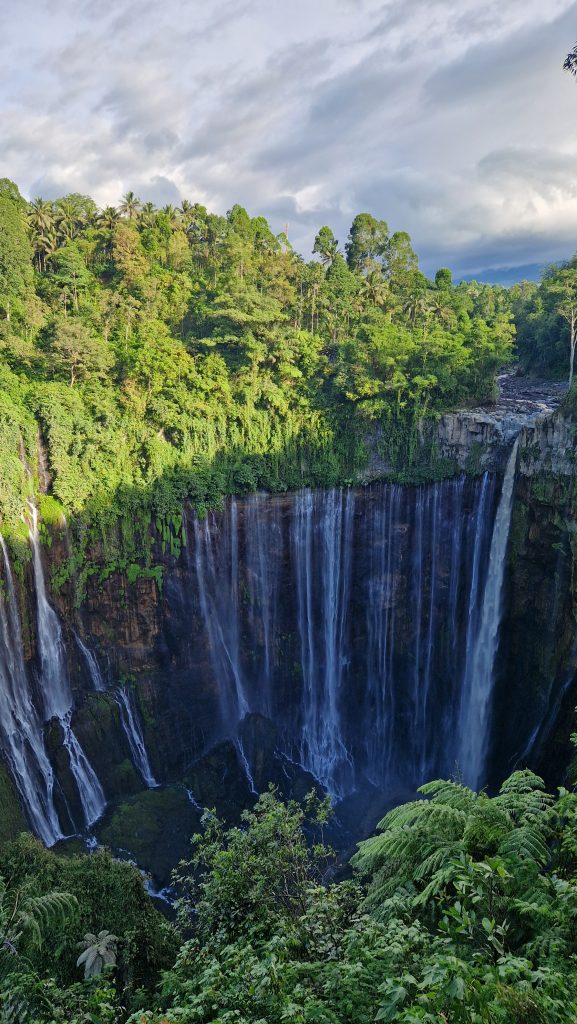 Als Halbkreisförmiger Vorhang aus Wasser bricht der Tumpak Sewu Wasserfall aus dem Dschungel heraus