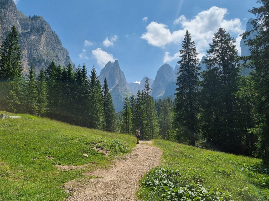 Die grünen Wiesen des Tschamintals. Nadelbäume. In Hintergrund die steilen Dolomiten