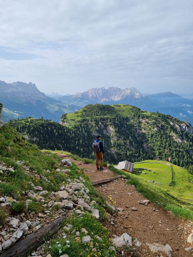 Abstieg zur Sesselschwaige über grüne Wiesen