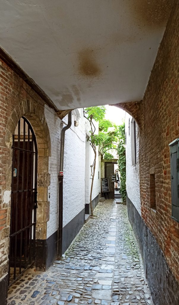 Blick in den Vlaeykensgang, eine kleine versteckte Gasse im Zentrum von Antwerpen. Man sieht alte Backsteinmauern und Efeubewachsene Wände.