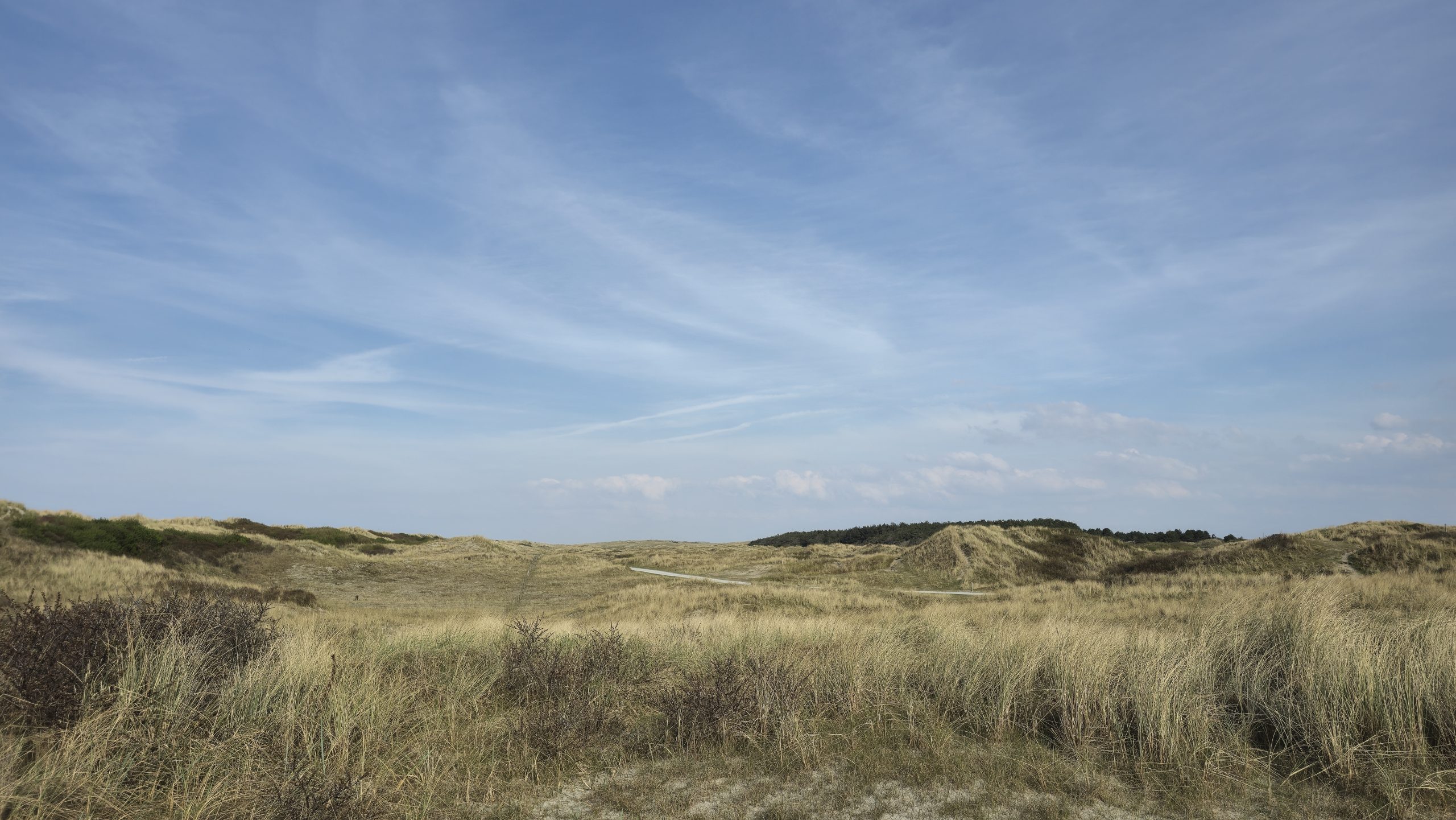 Dünenlandschaft im Nationalpark auf Ameland